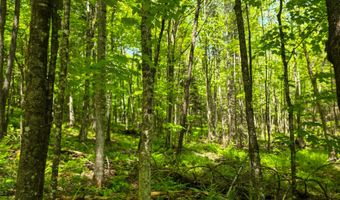 150 Spur Rd, Bloomfield, VT 05905