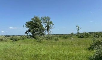 UNIT 51 SUNSET BOULEVARD, Alanson, MI 49706