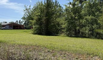 Lot # 2 - 6.2 Ac Perry Horton, Adrian, GA 31002