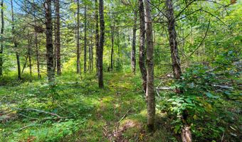 Double Bend Road, Argonne, WI 54511