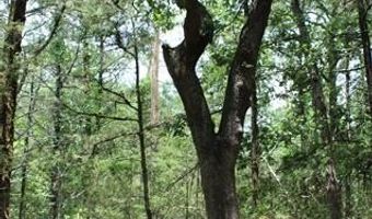 5 E 1909 Rd, Antlers, OK 74523