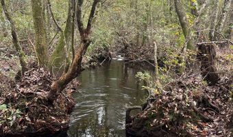 Wilburn Taylor Road, Buckatunna, MS 39322