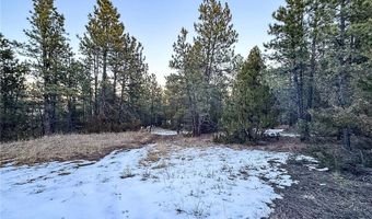 213 Winchester Dr, Roundup, MT 59072