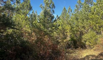 Old CC Rd, Addy, WA 99101