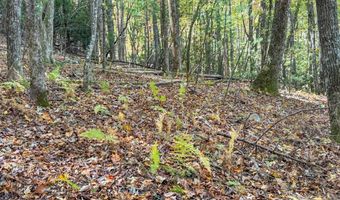 345 Christa Ln, Arden, NC 28704