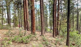 226 Elk Dr, Bayfield, CO 81122