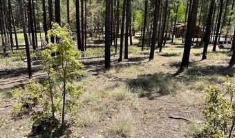 N2122, Alpine, AZ 85920