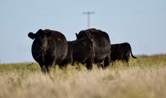 State Highway 214, Adrian, TX 79001