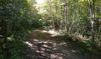 V/L 30AC Lake Winyah Road, Alpena, MI 49707