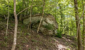 1031 COUNTY ROAD 4030, Arley, AL 35541