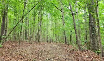 1110 Puckett Town Rd, Bradley, SC 29819