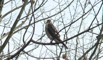 229 Pine Valley Dr, Bassett, VA 24055