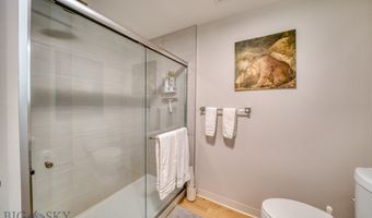 718 W Babcock Street 411, Bozeman, MT 59715