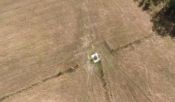 County Road 113, Alton, MO 65606