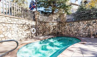26 Avondale 211, Beaver Creek, CO 81620