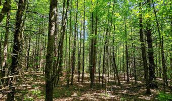 1905 Camp Munn Rd, Bradford, VT 05033