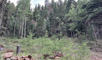 36 Sheilds Ave, Angel Fire, NM 87710