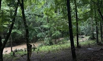 389 SHELL TOOMER Pkwy, Auburn, AL 36830