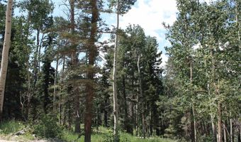 El Camino Real, Angel Fire, NM 87710