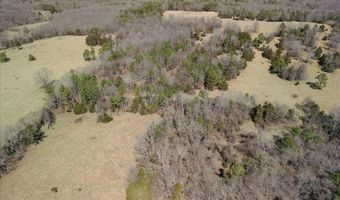 000 County Road 413, Alton, MO 65606
