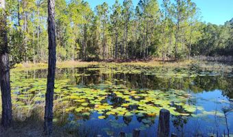 SMITH STREET, Astor, FL 32102