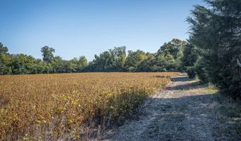 7 Acres Snake Rd, Athens, AL 35611