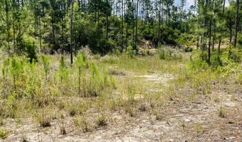 Chaco Circle, Alford, FL 32420