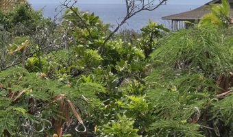 AKAHI AVE, Captain Cook, HI 96704