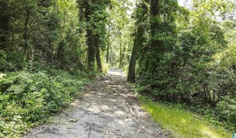 0 LANIER Pl 26.25 ac, Anniston, AL 36207