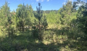 3551 Moonlight Rd, Barnwell, SC 29853