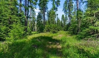 28801 N LEWELLEN CREEK Rd, Athol, ID 83801