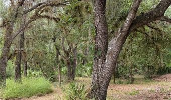 2963 SW Armadillo Trl, Arcadia, FL 34266