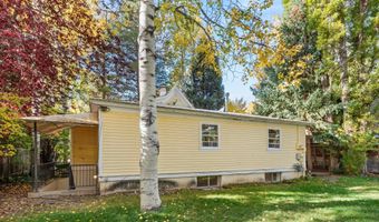 406 W Smuggler St, Aspen, CO 81611