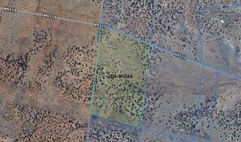 Lot 44 Ranch Of The White Mountains N9119, Concho, AZ 85924