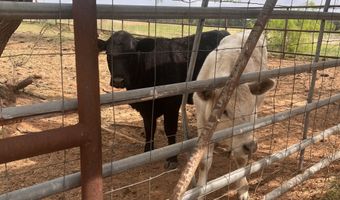2548 County Road 2690, Alvord, TX 76225