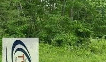 50-8210 Sandy Camp Road-Danville Rd, Big Sandy, TN 38221