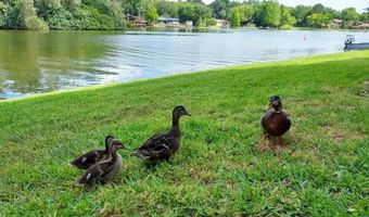 538 ORANGE Dr 11, Altamonte Springs, FL 32701