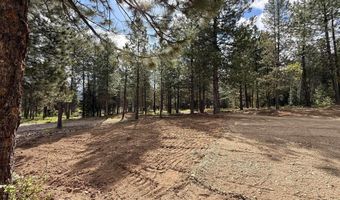 TBD Lot 2 and 3 Timber Haven, Cascade, ID 83611