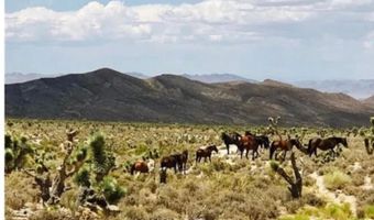 936 Elon Ln, Indian Springs, NV 89018
