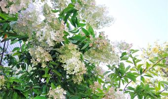 22 Bateman Ave, Newport, RI 02840