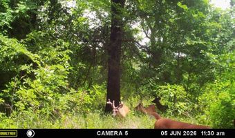 East Highway 3, Atoka, OK 74525