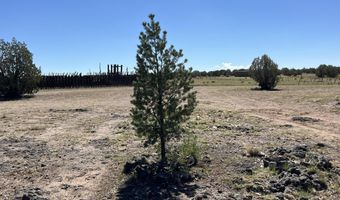 18 A Warren Run Rd, Ash Fork, AZ 86320