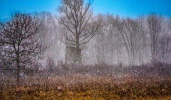 1991 N Concord Rd, Albion, MI 49224