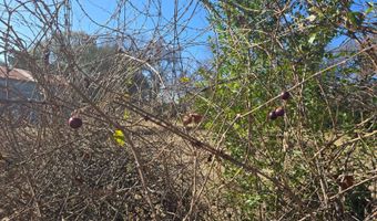 416284 E 1950 Rd, Antlers, OK 74523