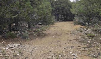 Lobo Ranch Road, Arroyo Hondo, NM 87513