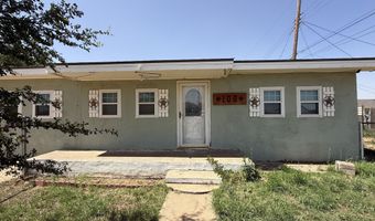 106 E 14th St, Abernathy, TX 79311