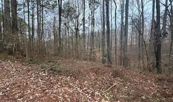 1089 Damascus Dr, Ball Ground, GA 30107