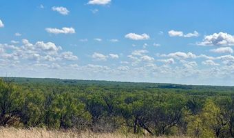 Tbd tbd, Albany, TX 76430