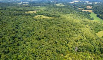 Co Rd 539, Ava, MO 65629