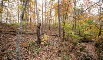 RIDGE RD lot 1, Arvonia, VA 23004